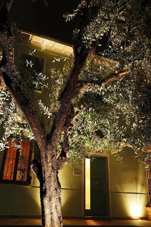 B&B Ulivo Gaio San Miniato Extérieur photo