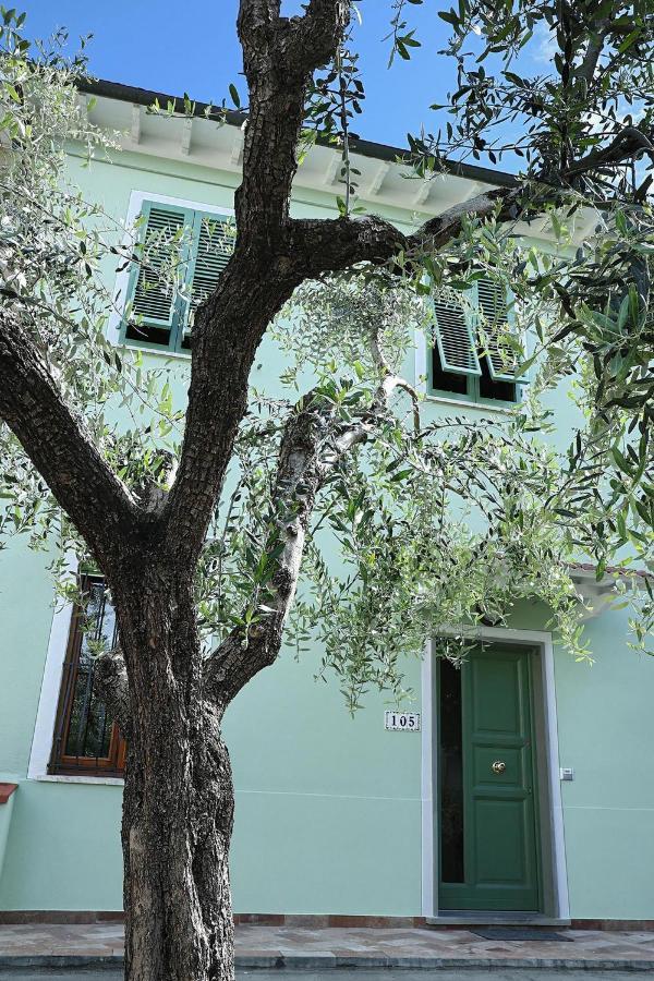 B&B Ulivo Gaio San Miniato Extérieur photo